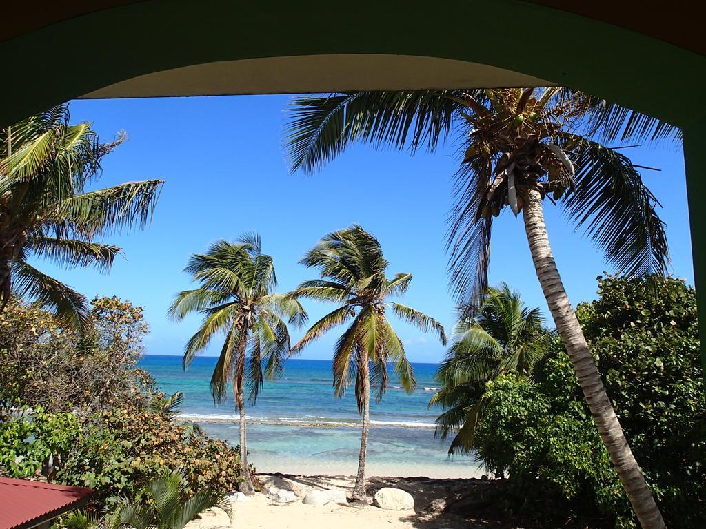 Ababor Suites Guesthouse Vieques Dış mekan fotoğraf