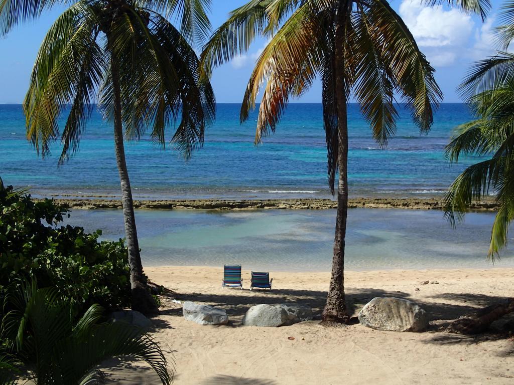 Ababor Suites Guesthouse Vieques Dış mekan fotoğraf